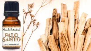 Olio essenziale e bastoncini di palo santo su sfondo chiaro