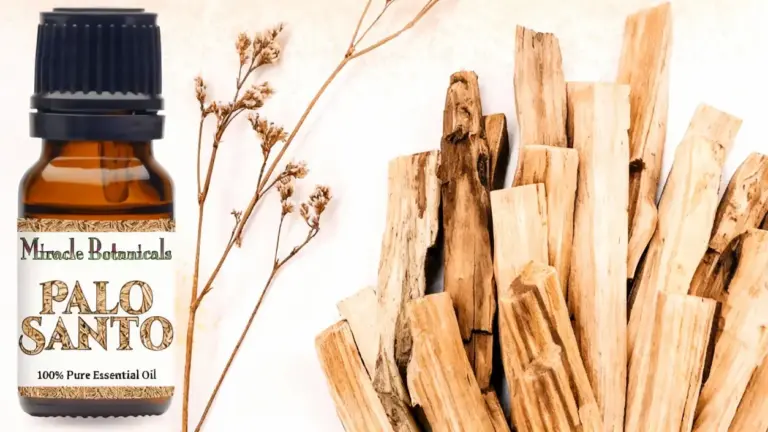 Olio essenziale e bastoncini di palo santo su sfondo chiaro